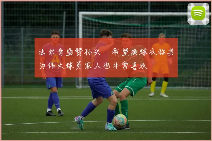 法尔肯盛赞孙兴慜希望换球衣称其为伟大球员家人也非常喜欢